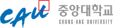 중앙대학교