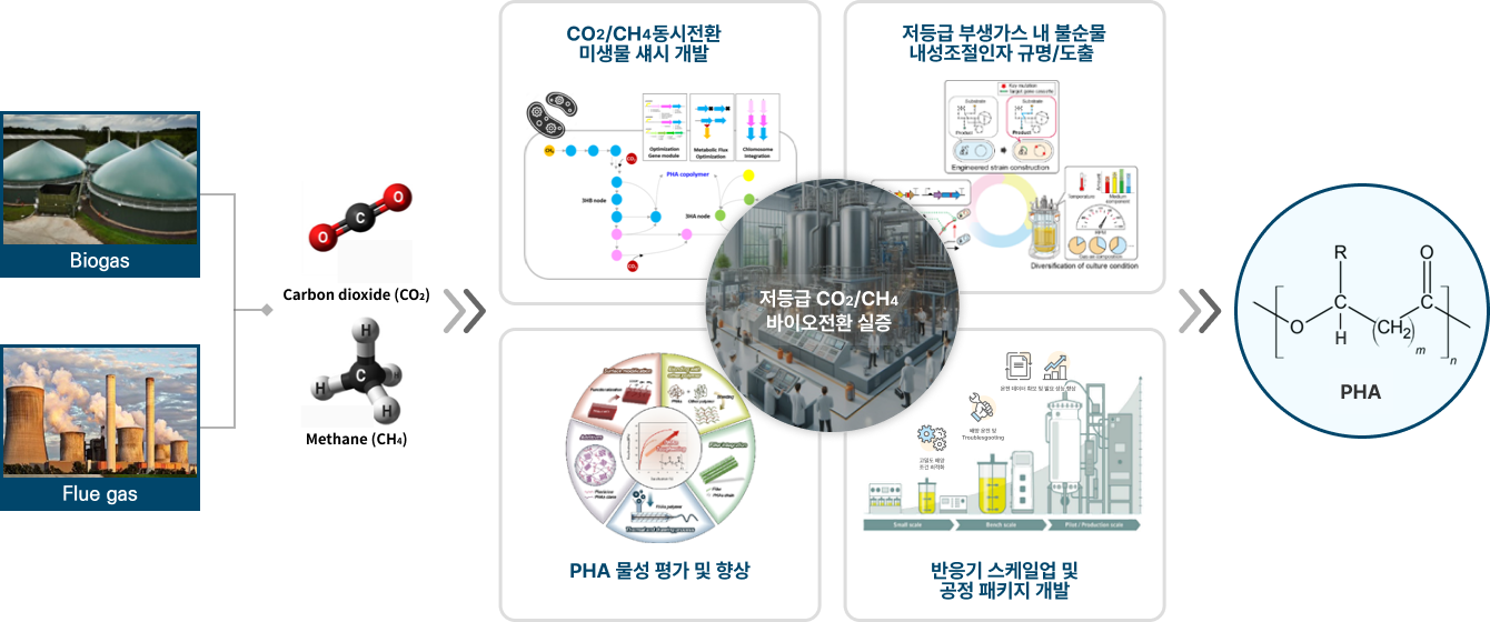 저등급 CO2/CH4 바이오 전환 설명 이미지